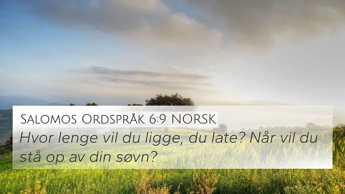 Salomos Ordspråk 6:9 NORSK Bible Verse Image
