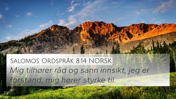 Salomos Ordspråk 8:14 NORSK Bible Verse Image