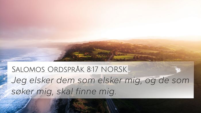 Salomos Ordspråk 8:17 NORSK Bible Verse Image