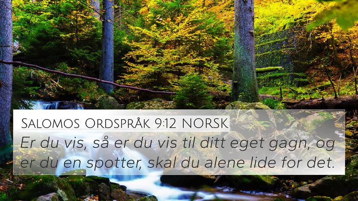 Salomos Ordspråk 9:12 NORSK Bible Verse Image