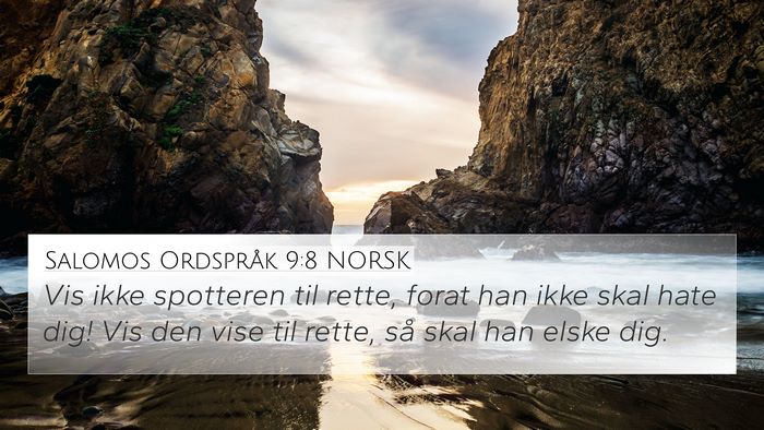 Salomos Ordspråk 9:8 NORSK Bible Verse Image