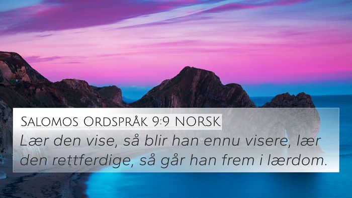 Salomos Ordspråk 9:9 NORSK Bible Verse Image