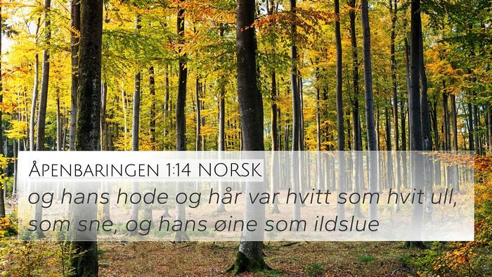 Åpenbaringen 1:14 NORSK 4K Wallpaper - og hans hode og hår var hvitt som hvit ull, som - 4K Wallpaper Bible Verse
