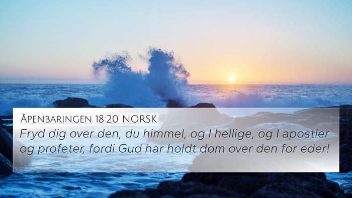 Åpenbaringen 18:20 NORSK Bible Verse Image