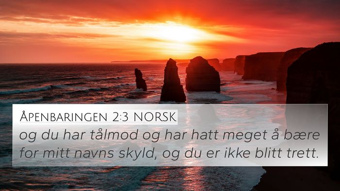 Åpenbaringen 2:3 NORSK Bible Verse Image