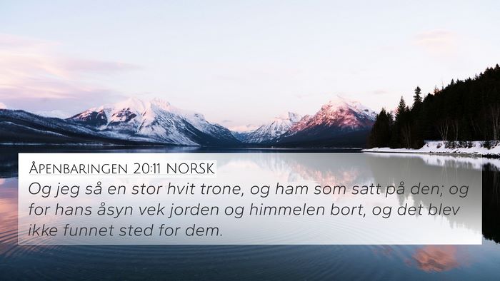 Åpenbaringen 20:11 NORSK Bible Verse Image