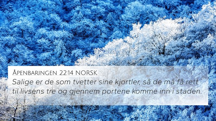 Åpenbaringen 22:14 NORSK Bible Verse Image