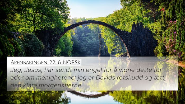 Åpenbaringen 22:16 NORSK Bible Verse Image