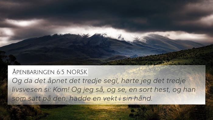 Åpenbaringen 6:5 NORSK Bible Verse Image