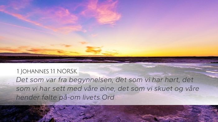 1 Johannes 1:1 NORSK Bible Verse Image