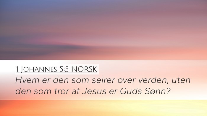 1 Johannes 5:5 NORSK Bible Verse Image