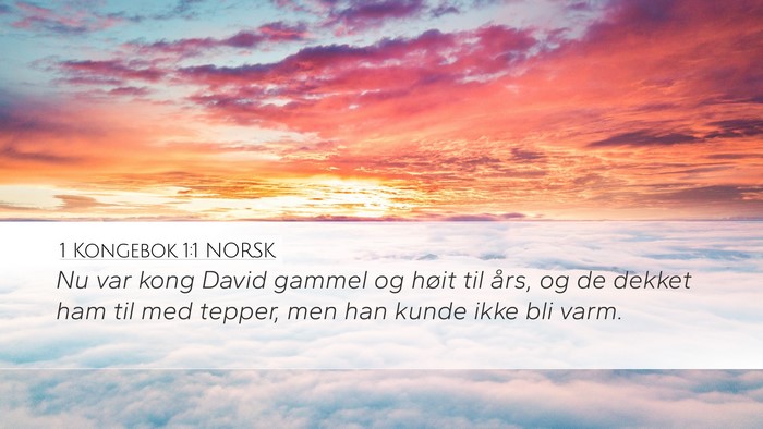 1 Kongebok 1:1 NORSK Desktop Wallpaper - Nu var kong David gammel og høit til års, og de - Desktop Bible Verse Wallpaper