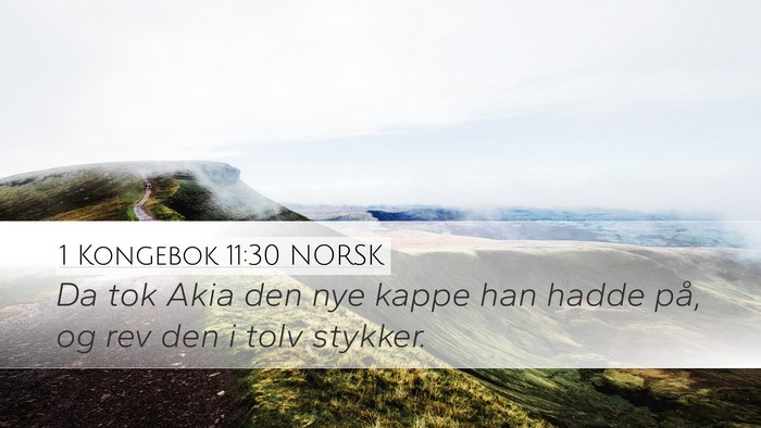 1 Kongebok 11:30 NORSK Bible Verse Image