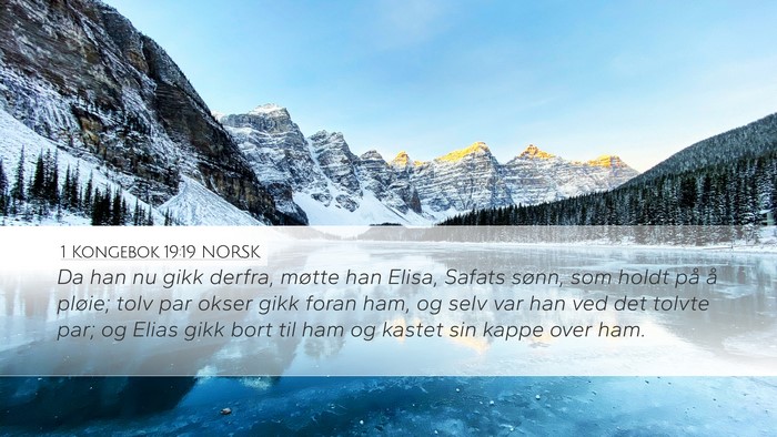 1 Kongebok 19:19 NORSK Bible Verse Image