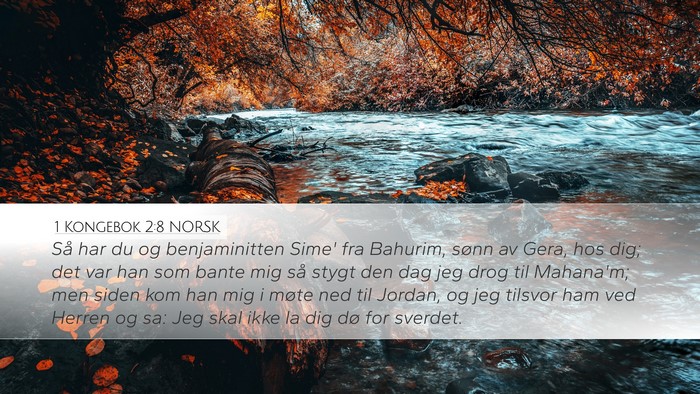 1 Kongebok 2:8 NORSK Bible Verse Image