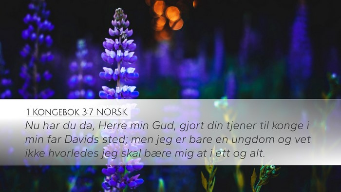 1 Kongebok 3:7 NORSK Bible Verse Image