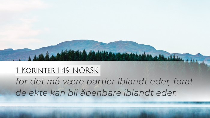 1 Korinter 11:19 NORSK Bible Verse Image