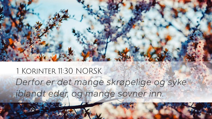 1 Korinter 11:30 NORSK Bible Verse Image