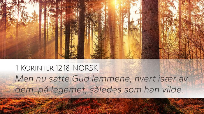 1 Korinter 12:18 NORSK Bible Verse Image