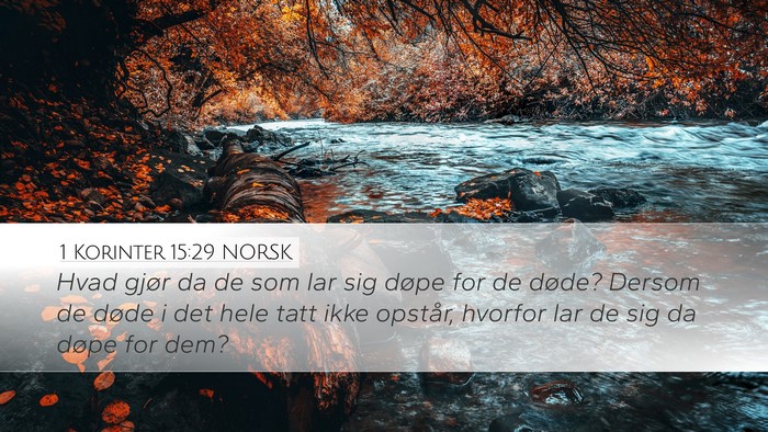 1 Korinter 15:29 NORSK Desktop Wallpaper - Hvad gjør da de som lar sig døpe for de døde? - Desktop Bible Verse Wallpaper