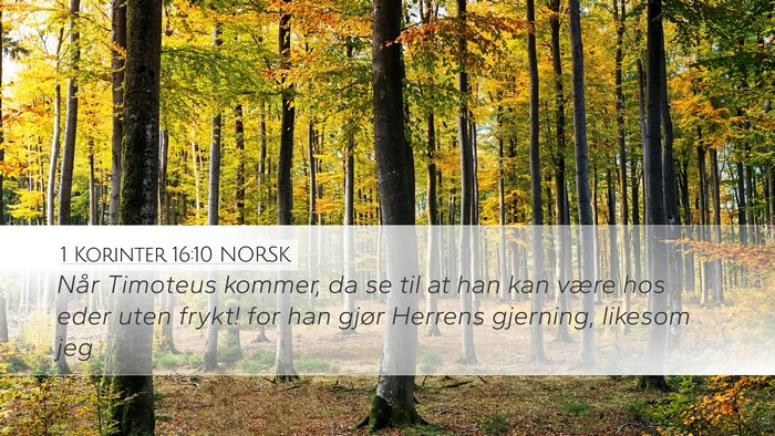 1 Korinter 16:10 NORSK Bible Verse Image