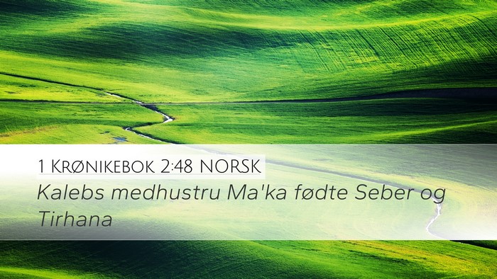 1 Krønikebok 2:48 NORSK Desktop Wallpaper - Kalebs medhustru Ma'ka fødte Seber og - Desktop Bible Verse Wallpaper