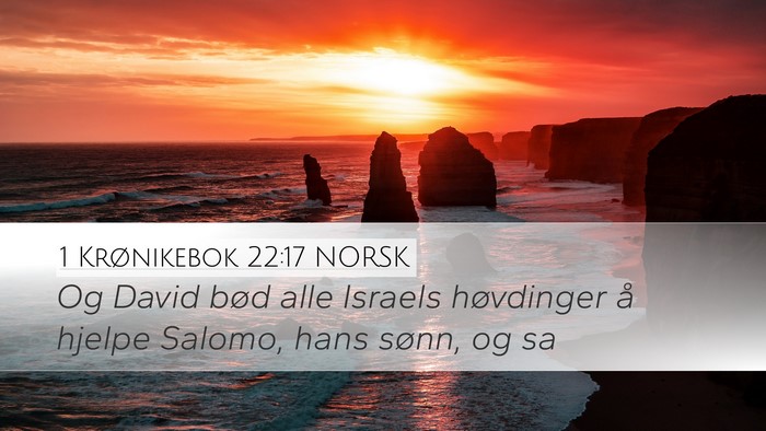 1 Krønikebok 22:17 NORSK Bible Verse Image