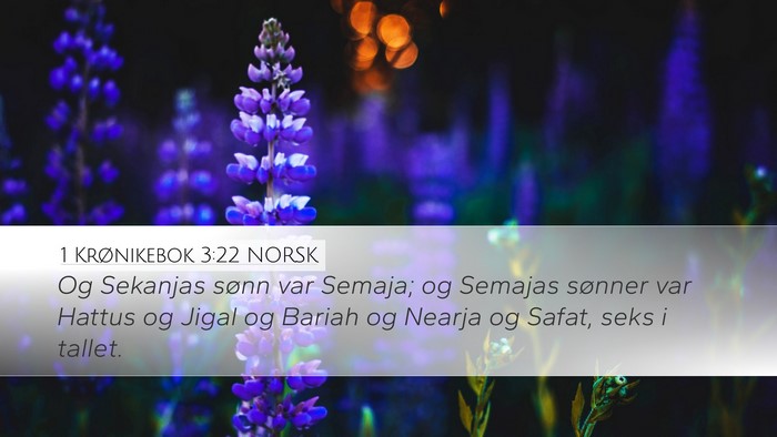 1 Krønikebok 3:22 NORSK Bible Verse Image