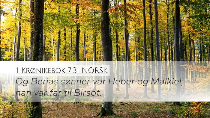 1 Krønikebok 7:31 NORSK Desktop Wallpaper - Og Berias sønner var Heber og Malkiel; han var - Desktop Bible Verse Wallpaper