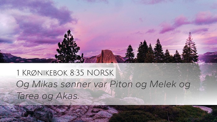 1 Krønikebok 8:35 NORSK Bible Verse Image