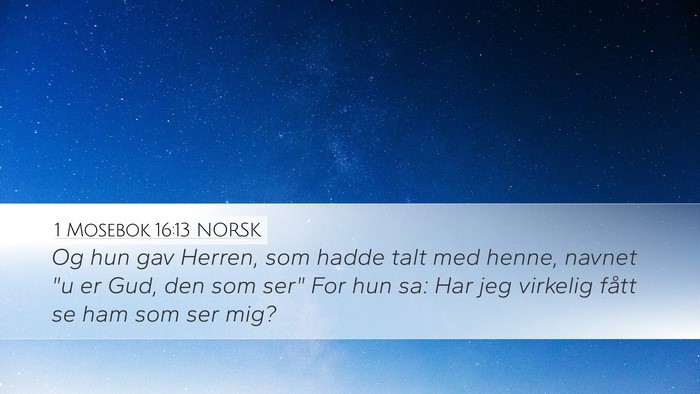 1 Mosebok 16:13 NORSK Bible Verse Image