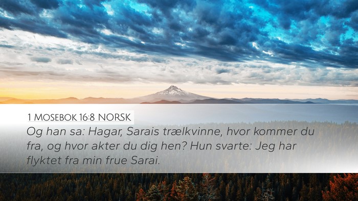 1 Mosebok 16:8 NORSK Bible Verse Image