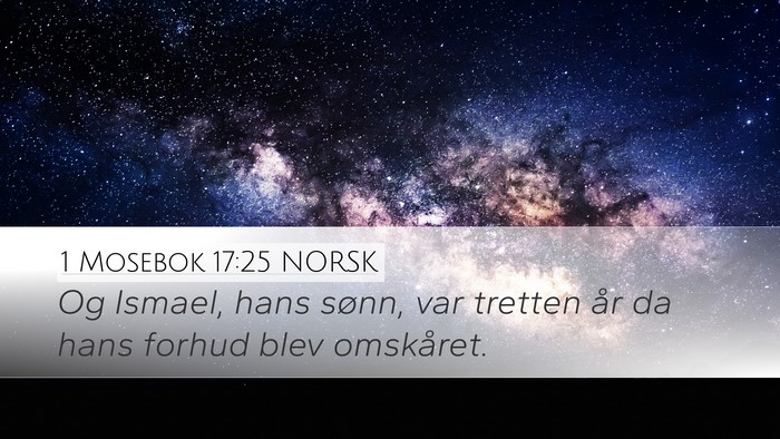 1 Mosebok 17:25 NORSK Desktop Wallpaper - Og Ismael, hans sønn, var tretten år da hans - Desktop Bible Verse Wallpaper