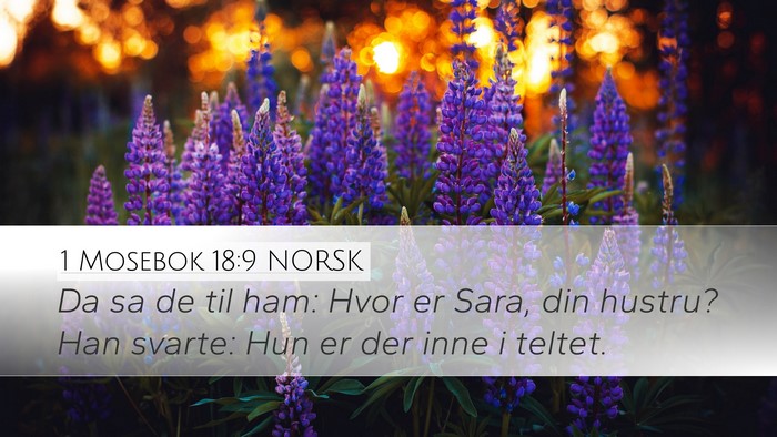 1 Mosebok 18:9 NORSK Bible Verse Image