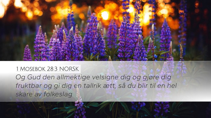 1 Mosebok 28:3 NORSK Bible Verse Image