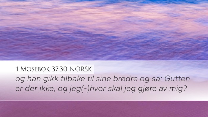 1 Mosebok 37:30 NORSK Bible Verse Image