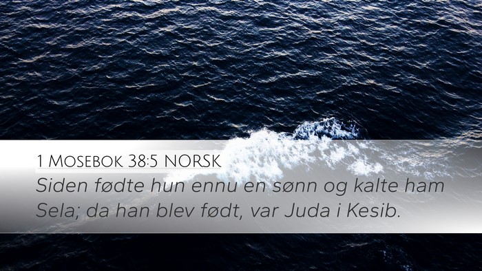 1 Mosebok 38:5 NORSK Bible Verse Image