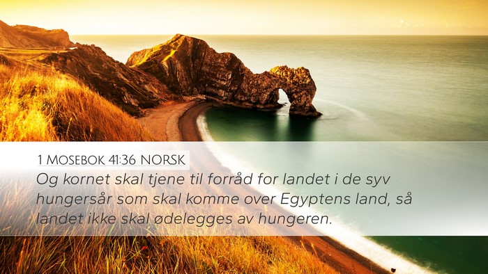 1 Mosebok 41:36 NORSK Desktop Wallpaper - Og kornet skal tjene til forråd for landet i de - Desktop Bible Verse Wallpaper