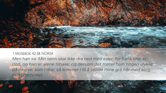1 Mosebok 42:38 NORSK Bible Verse Image