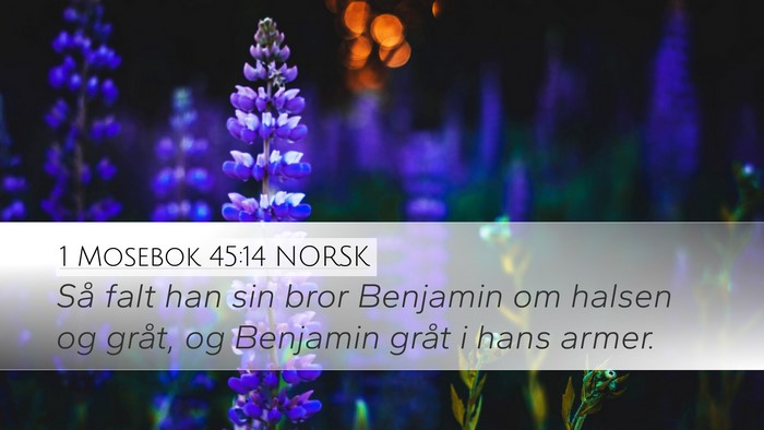 1 Mosebok 45:14 NORSK Bible Verse Image