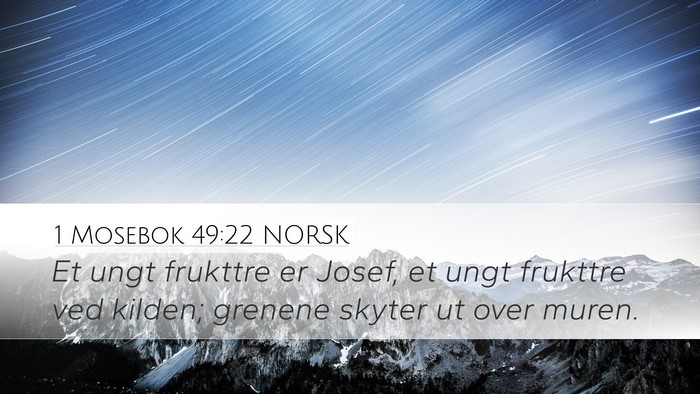 1 Mosebok 49:22 NORSK Bible Verse Image