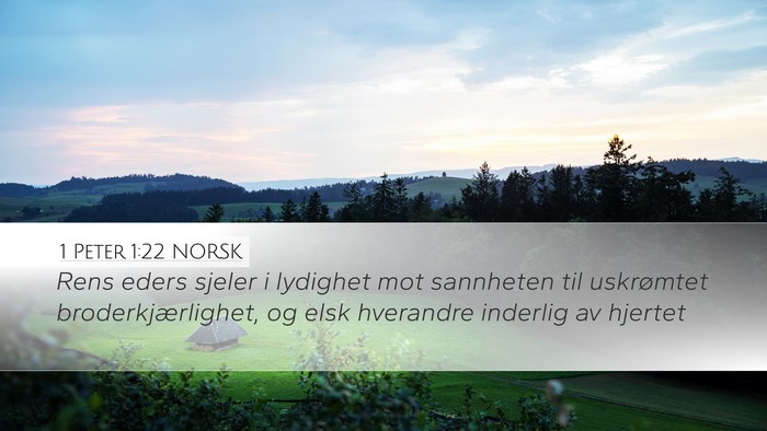 1 Peter 1:22 NORSK Bible Verse Image