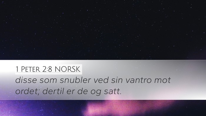 1 Peter 2:8 NORSK Bible Verse Image