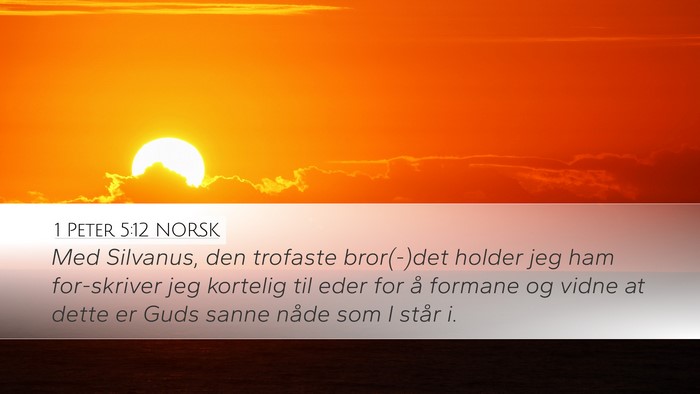 1 Peter 5:12 NORSK Bible Verse Image