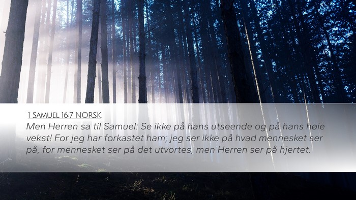 1 Samuel 16:7 NORSK Bible Verse Image