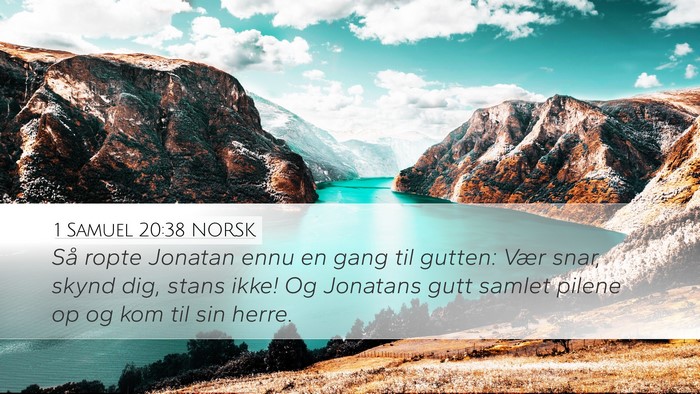 1 Samuel 20:38 NORSK Bible Verse Image