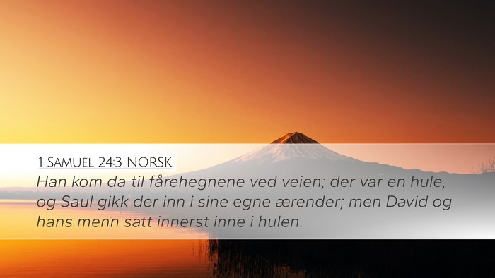 1 Samuel 24:3 NORSK Bible Verse Image