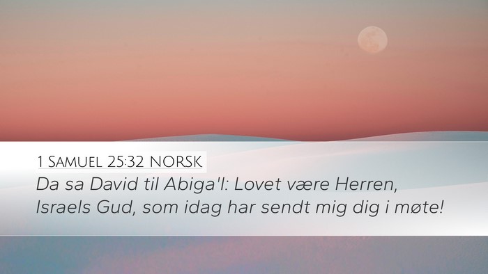 1 Samuel 25:32 NORSK Bible Verse Image