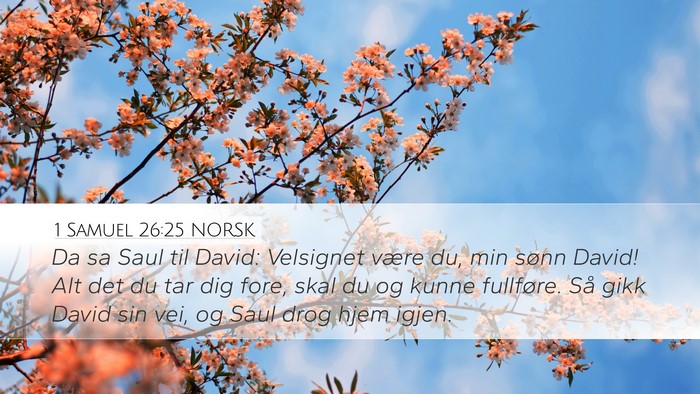 1 Samuel 26:25 NORSK Bible Verse Image