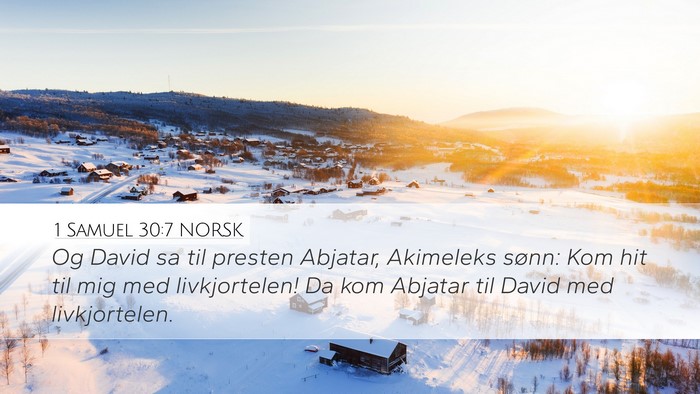 1 Samuel 30:7 NORSK Bible Verse Image